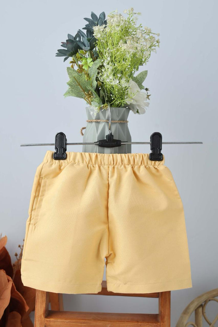 Vibrant Shorts & Shirt Set