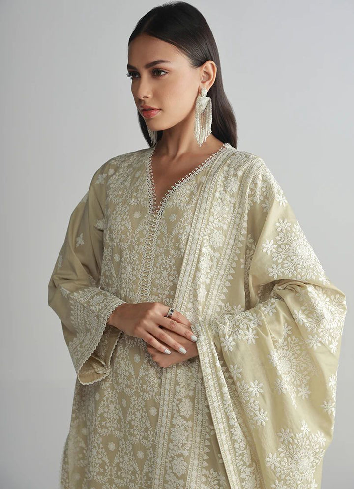 Pistachio Lawn Suit With Chiffon Dupatta | Ready To Wear