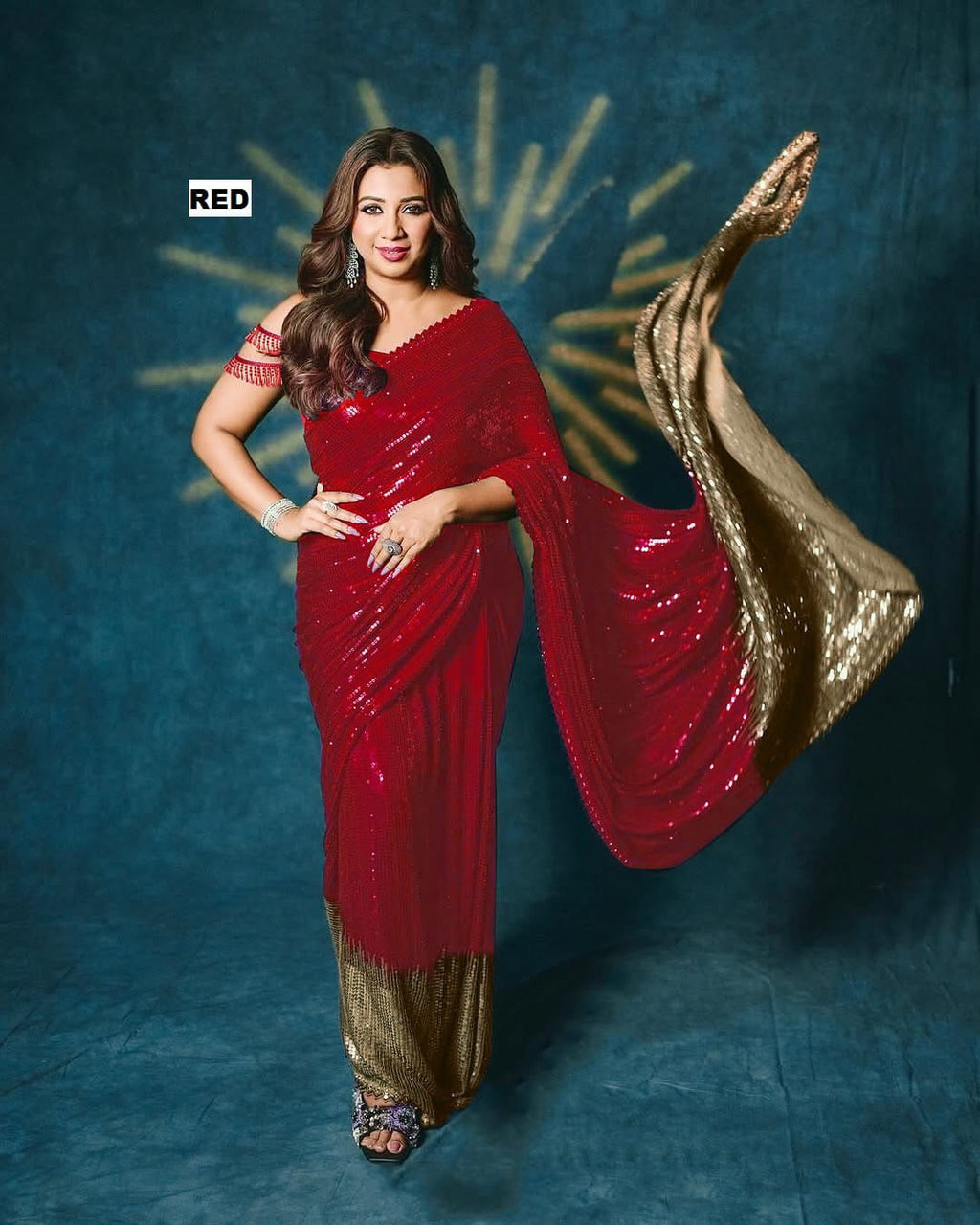 Georgette Cutwork Lace Border Saree