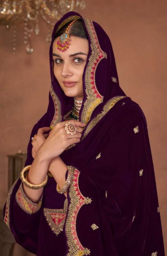 Velvet Embroidered Salwar Suit
