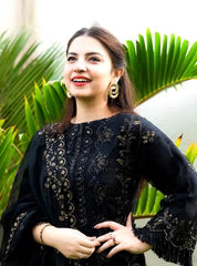 3 Piece Stitched Lawn Suit - Ready To Wear