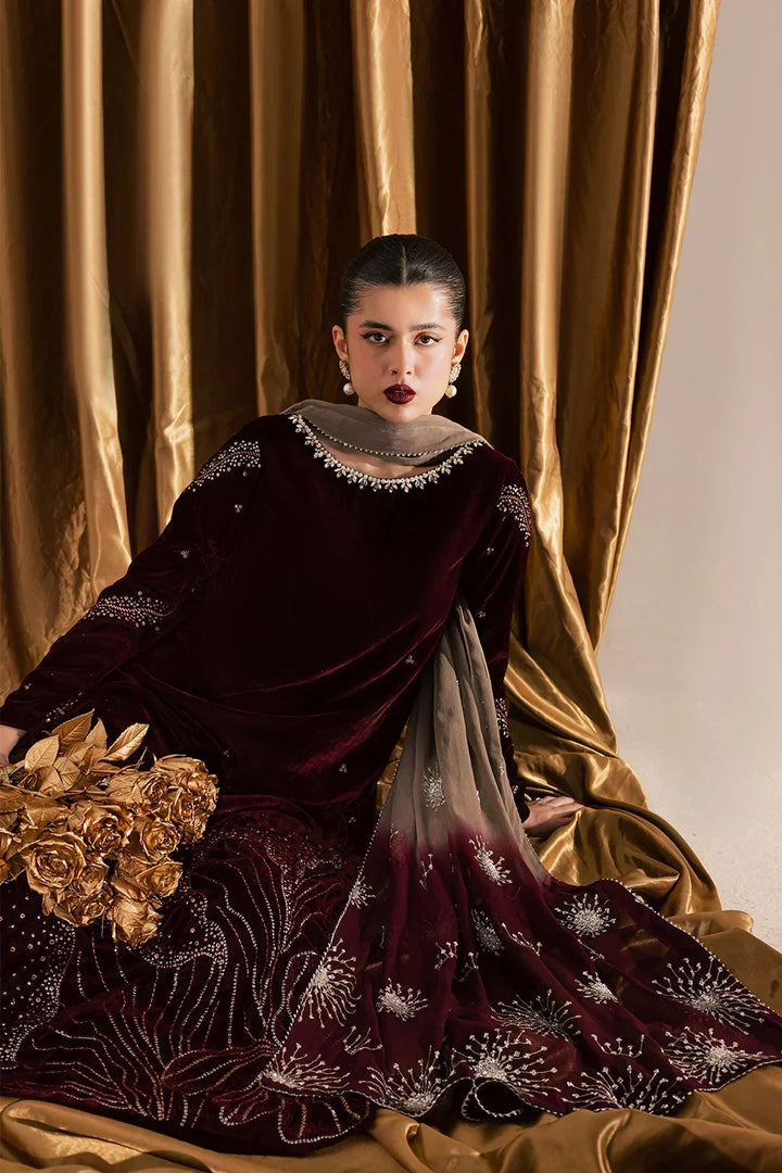 Wine Maroon &amp; Champagne: Embroidered Velvet Suit | Ready To Wear