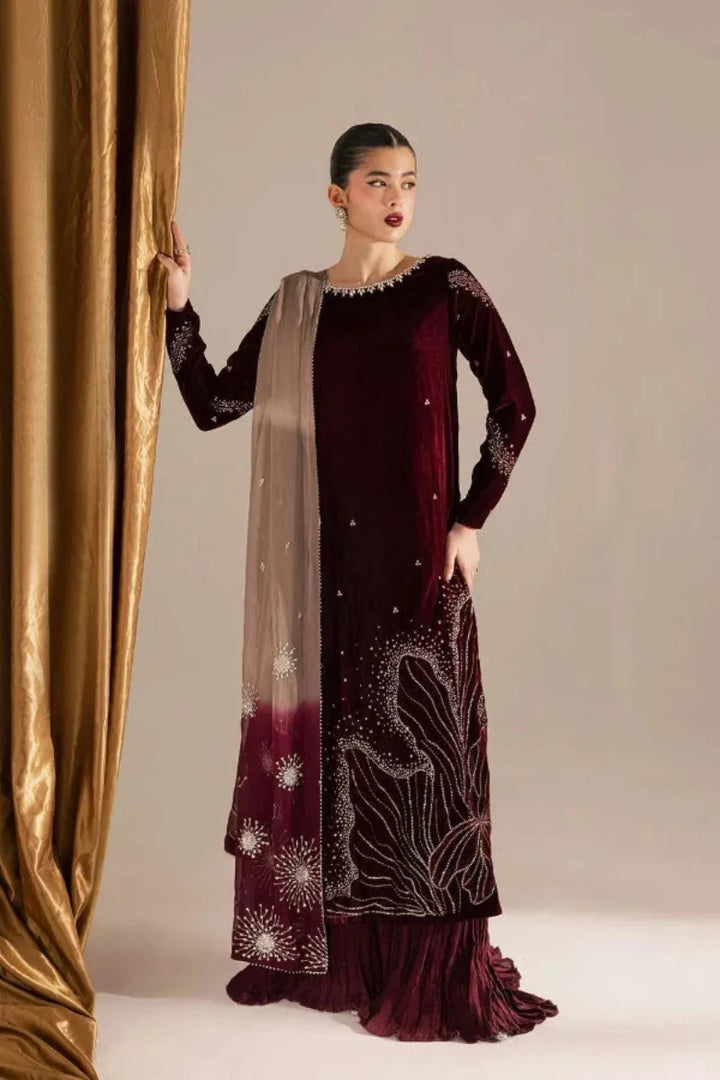Wine Maroon &amp; Champagne: Embroidered Velvet Suit | Ready To Wear