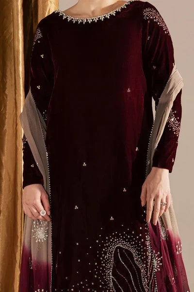 Wine Maroon &amp; Champagne: Embroidered Velvet Suit | Ready To Wear